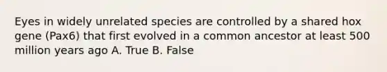 Eyes in widely unrelated species are controlled by a shared hox gene (Pax6) that first evolved in a common ancestor at least 500 million years ago A. True B. False