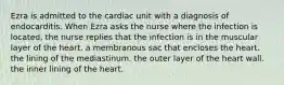 Ezra is admitted to the cardiac unit with a diagnosis of endocarditis. When Ezra asks the nurse where the infection is located, the nurse replies that the infection is in the muscular layer of the heart. a membranous sac that encloses the heart. the lining of the mediastinum. the outer layer of the heart wall. the inner lining of the heart.