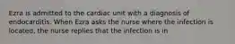 Ezra is admitted to the cardiac unit with a diagnosis of endocarditis. When Ezra asks the nurse where the infection is located, the nurse replies that the infection is in