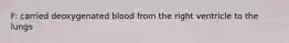 F: carried deoxygenated blood from the right ventricle to the lungs