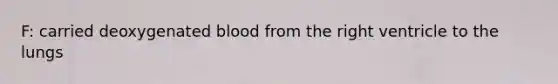 F: carried deoxygenated blood from the right ventricle to the lungs