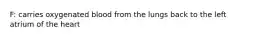 F: carries oxygenated blood from the lungs back to the left atrium of the heart
