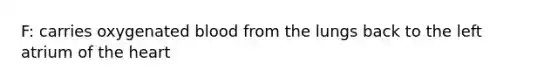 F: carries oxygenated blood from the lungs back to the left atrium of the heart