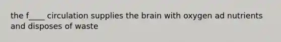 the f____ circulation supplies the brain with oxygen ad nutrients and disposes of waste