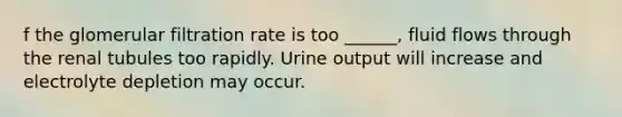 f the glomerular filtration rate is too ______, fluid flows through the renal tubules too rapidly. Urine output will increase and electrolyte depletion may occur.