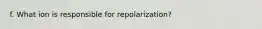 f. What ion is responsible for repolarization?