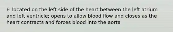 F: located on the left side of the heart between the left atrium and left ventricle; opens to allow blood flow and closes as the heart contracts and forces blood into the aorta