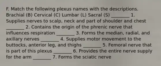 F. Match the following plexus names with the descriptions. Brachial (B) Cervical (C) Lumbar (L) Sacral (S) ________ 1. Supplies nerves to scalp, neck and part of shoulder and chest ________ 2. Contains the origin of the phrenic nerve that influences respiration ________ 3. Forms the median, radial, and axillary nerves ________ 4. Supplies motor movement to the buttocks, anterior leg, and thighs ________ 5. Femoral nerve that is part of this plexus ________ 6. Provides the entire nerve supply for the arm ________ 7. Forms the sciatic nerve