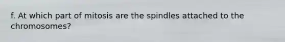 f. At which part of mitosis are the spindles attached to the chromosomes?