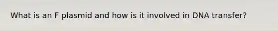 What is an F plasmid and how is it involved in DNA transfer?