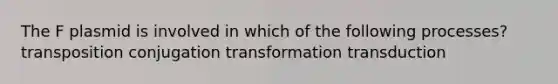 The F plasmid is involved in which of the following processes? transposition conjugation transformation transduction