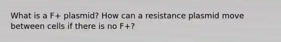 What is a F+ plasmid? How can a resistance plasmid move between cells if there is no F+?