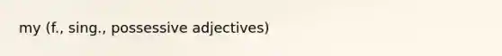 my (f., sing., <a href='https://www.questionai.com/knowledge/k9puyd0QEM-possessive-adjectives' class='anchor-knowledge'>possessive adjectives</a>)