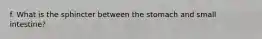 f. What is the sphincter between the stomach and small intestine?