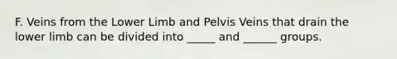 F. Veins from the <a href='https://www.questionai.com/knowledge/kF4ILRdZqC-lower-limb' class='anchor-knowledge'>lower limb</a> and Pelvis Veins that drain the lower limb can be divided into _____ and ______ groups.