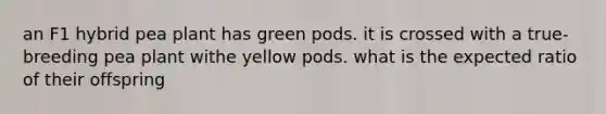 an F1 hybrid pea plant has green pods. it is crossed with a true-breeding pea plant withe yellow pods. what is the expected ratio of their offspring