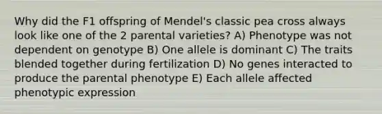 Why did the F1 offspring of Mendel's classic pea cross always look like one of the 2 parental varieties? A) Phenotype was not dependent on genotype B) One allele is dominant C) The traits blended together during fertilization D) No genes interacted to produce the parental phenotype E) Each allele affected phenotypic expression