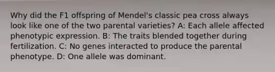 Why did the F1 offspring of Mendel's classic pea cross always look like one of the two parental varieties? A: Each allele affected phenotypic expression. B: The traits blended together during fertilization. C: No genes interacted to produce the parental phenotype. D: One allele was dominant.