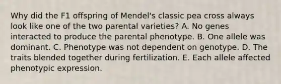 Why did the F1 offspring of Mendel's classic pea cross always look like one of the two parental varieties? A. No genes interacted to produce the parental phenotype. B. One allele was dominant. C. Phenotype was not dependent on genotype. D. The traits blended together during fertilization. E. Each allele affected phenotypic expression.