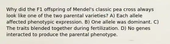 Why did the F1 offspring of Mendel's classic pea cross always look like one of the two parental varieties? A) Each allele affected phenotypic expression. B) One allele was dominant. C) The traits blended together during fertilization. D) No genes interacted to produce the parental phenotype.