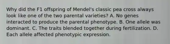 Why did the F1 offspring of Mendel's classic pea cross always look like one of the two parental varieties? A. No genes interacted to produce the parental phenotype. B. One allele was dominant. C. The traits blended together during fertilization. D. Each allele affected phenotypic expression.