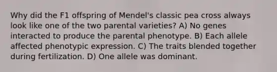 Why did the F1 offspring of Mendel's classic pea cross always look like one of the two parental varieties? A) No genes interacted to produce the parental phenotype. B) Each allele affected phenotypic expression. C) The traits blended together during fertilization. D) One allele was dominant.