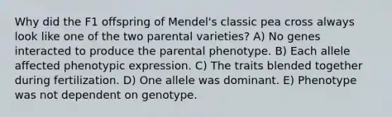 Why did the F1 offspring of Mendel's classic pea cross always look like one of the two parental varieties? A) No genes interacted to produce the parental phenotype. B) Each allele affected phenotypic expression. C) The traits blended together during fertilization. D) One allele was dominant. E) Phenotype was not dependent on genotype.