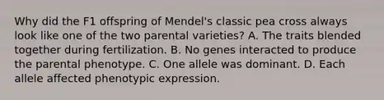 Why did the F1 offspring of Mendel's classic pea cross always look like one of the two parental varieties? A. The traits blended together during fertilization. B. No genes interacted to produce the parental phenotype. C. One allele was dominant. D. Each allele affected phenotypic expression.