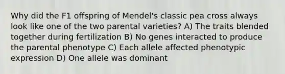 Why did the F1 offspring of Mendel's classic pea cross always look like one of the two parental varieties? A) The traits blended together during fertilization B) No genes interacted to produce the parental phenotype C) Each allele affected phenotypic expression D) One allele was dominant