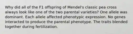 Why did all of the F1 offspring of Mendel's classic pea cross always look like one of the two parental varieties? One allele was dominant. Each allele affected phenotypic expression. No genes interacted to produce the parental phenotype. The traits blended together during fertilization.