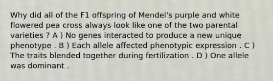 Why did all of the F1 offspring of Mendel's purple and white flowered pea cross always look like one of the two parental varieties ? A ) No genes interacted to produce a new unique phenotype . B ) Each allele affected phenotypic expression . C ) The traits blended together during fertilization . D ) One allele was dominant .