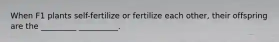 When F1 plants self-fertilize or fertilize each other, their offspring are the _________ __________.