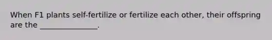 When F1 plants self-fertilize or fertilize each other, their offspring are the _______________.