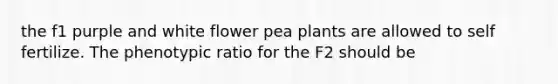 the f1 purple and white flower pea plants are allowed to self fertilize. The phenotypic ratio for the F2 should be