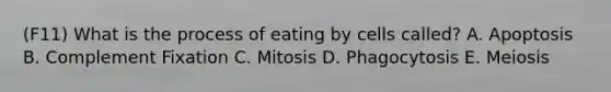 (F11) What is the process of eating by cells called? A. Apoptosis B. Complement Fixation C. Mitosis D. Phagocytosis E. Meiosis