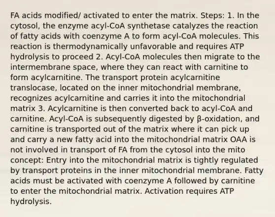 FA acids modified/ activated to enter the matrix. Steps: 1. In the cytosol, the enzyme acyl-CoA synthetase catalyzes the reaction of fatty acids with coenzyme A to form acyl-CoA molecules. This reaction is thermodynamically unfavorable and requires ATP hydrolysis to proceed 2. Acyl-CoA molecules then migrate to the intermembrane space, where they can react with carnitine to form acylcarnitine. The transport protein acylcarnitine translocase, located on the inner mitochondrial membrane, recognizes acylcarnitine and carries it into the mitochondrial matrix 3. Acylcarnitine is then converted back to acyl-CoA and carnitine. Acyl-CoA is subsequently digested by β-oxidation, and carnitine is transported out of the matrix where it can pick up and carry a new fatty acid into the mitochondrial matrix OAA is not involved in transport of FA from the cytosol into the mito concept: Entry into the mitochondrial matrix is tightly regulated by transport proteins in the inner mitochondrial membrane. Fatty acids must be activated with coenzyme A followed by carnitine to enter the mitochondrial matrix. Activation requires ATP hydrolysis.