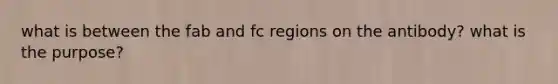 what is between the fab and fc regions on the antibody? what is the purpose?