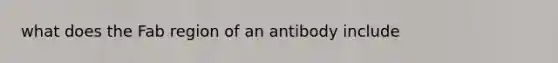 what does the Fab region of an antibody include