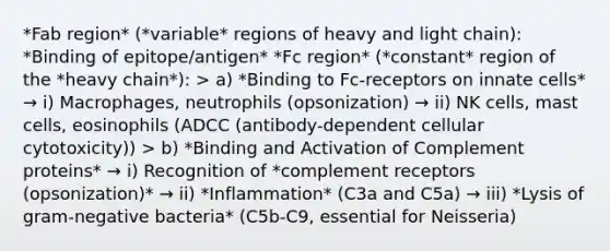 *Fab region* (*variable* regions of heavy and light chain): *Binding of epitope/antigen* *Fc region* (*constant* region of the *heavy chain*): > a) *Binding to Fc-receptors on innate cells* → i) Macrophages, neutrophils (opsonization) → ii) NK cells, mast cells, eosinophils (ADCC (antibody-dependent cellular cytotoxicity)) > b) *Binding and Activation of Complement proteins* → i) Recognition of *complement receptors (opsonization)* → ii) *Inflammation* (C3a and C5a) → iii) *Lysis of gram-negative bacteria* (C5b-C9, essential for Neisseria)