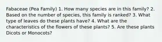 Fabaceae (Pea Family) 1. How many species are in this family? 2. Based on the number of species, this family is ranked? 3. What type of leaves do these plants have? 4. What are the characteristics of the flowers of these plants? 5. Are these plants Dicots or Monocots?