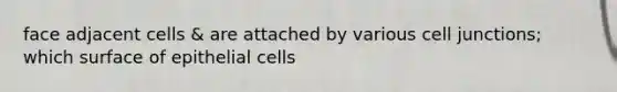 face adjacent cells & are attached by various cell junctions; which surface of epithelial cells