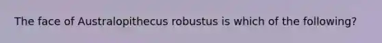The face of Australopithecus robustus is which of the following?