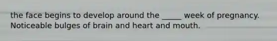 the face begins to develop around the _____ week of pregnancy. Noticeable bulges of brain and heart and mouth.