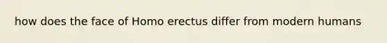 how does the face of Homo erectus differ from modern humans