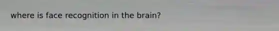 where is face recognition in the brain?