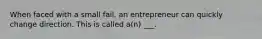 When faced with a small fail, an entrepreneur can quickly change direction. This is called a(n) ___.