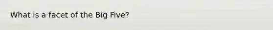 What is a facet of the Big Five?