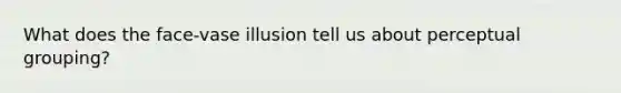 What does the face-vase illusion tell us about perceptual grouping?