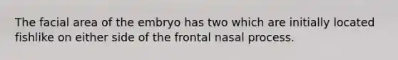 The facial area of the embryo has two which are initially located fishlike on either side of the frontal nasal process.