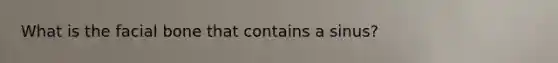 What is the facial bone that contains a sinus?